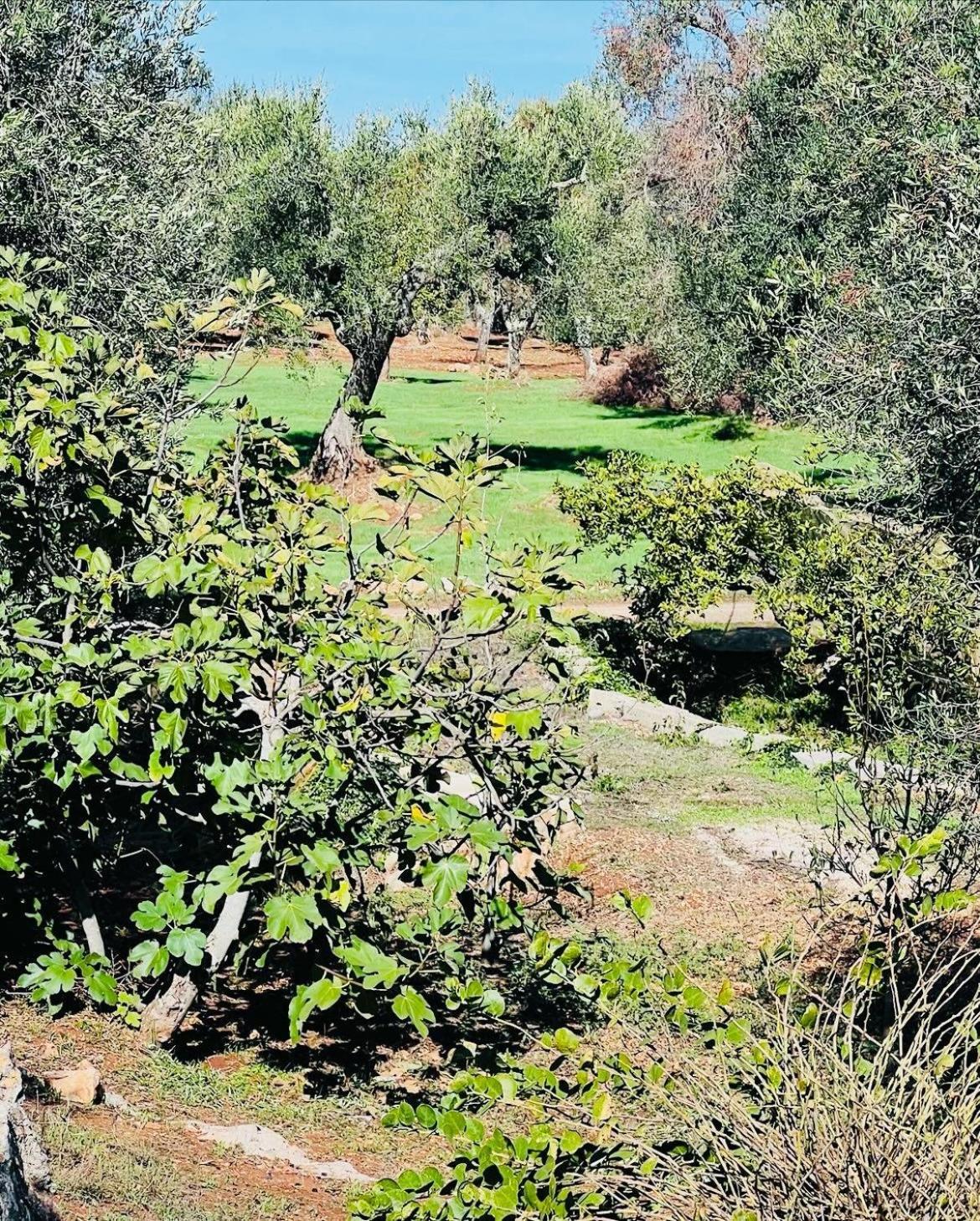 Trullo Antelmi Villa Ceglie Messapica Luaran gambar